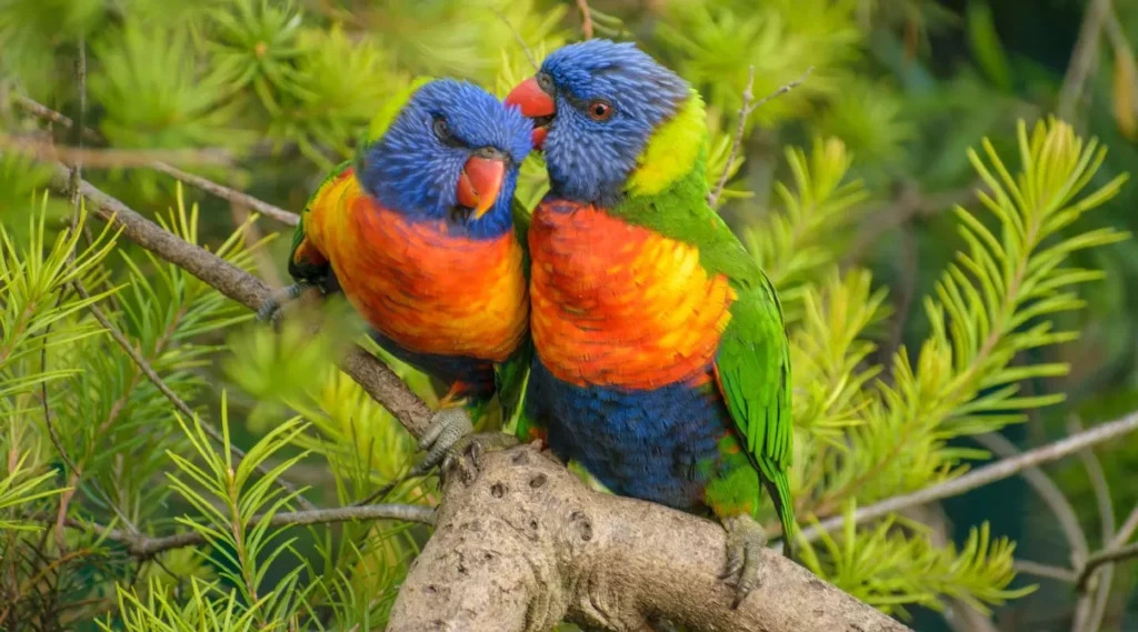 Paralyzed Parrots
