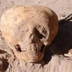 Alien-Like Skull Mystery: Ancient Human Ritual or Something Strange?