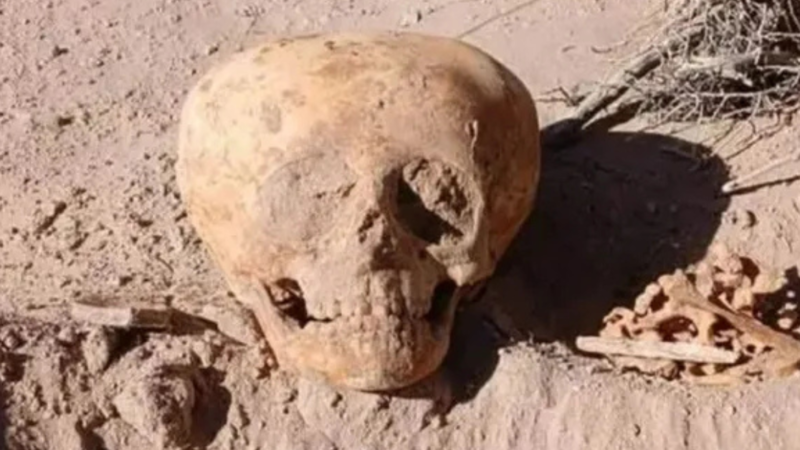 Alien-Like Skull Mystery: Ancient Human Ritual or Something Strange?
