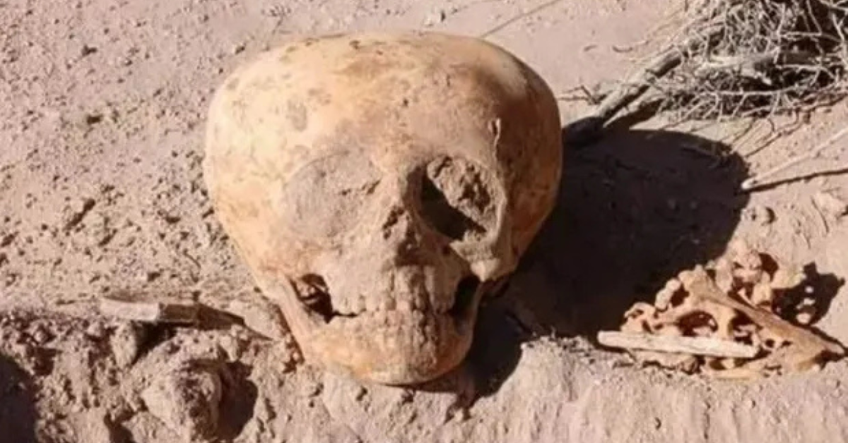 Alien-Like Skull Mystery: Ancient Human Ritual or Something Strange?