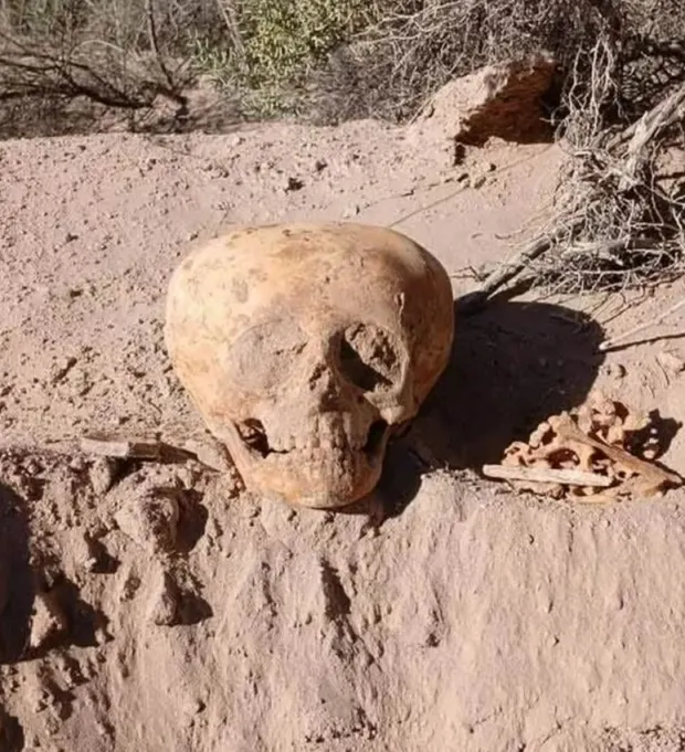 Alien-Like Skull Mystery: Ancient Human Ritual or Something Strange?